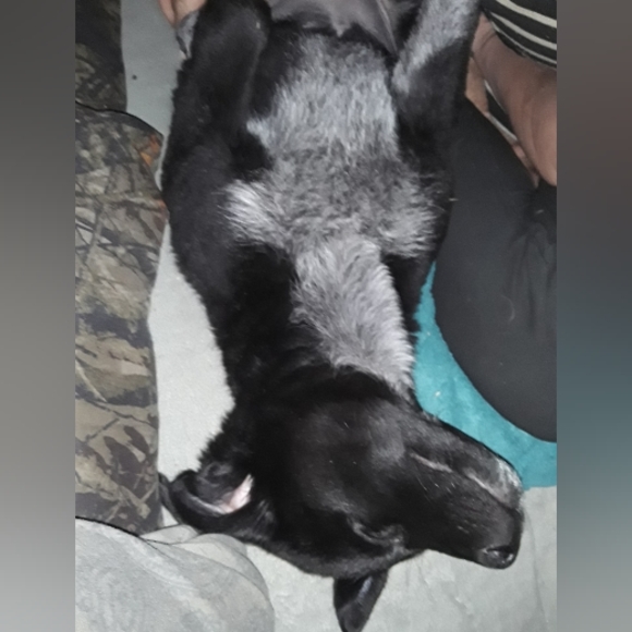 Meet your Posher, Hollaaaaa Hollaaaaa🤙🤙 I'm Tampa - Picture 3 of 16